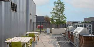 Insignia On M Gallery 20