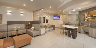 The Residences at the Domain Gallery 23