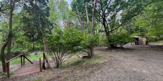 Beautiful 3 Bedroom, 2 Bathroom Home with Private Drive and Large Yard! Gallery 3