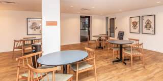 Heights By Vintage Gallery 36