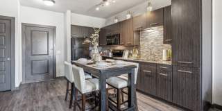 Terra at University North Park Gallery 5