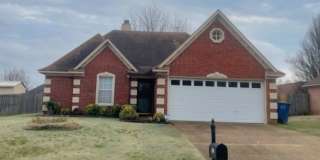 Olive Branch schools! Gallery 1