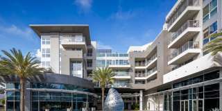 Elements Gallery 102