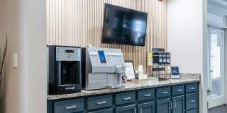 Oasis at Montclair Gallery 47