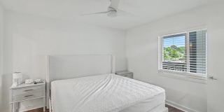 268 Alexandra Gallery 24