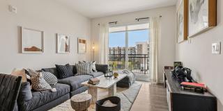 The Pomelo Gallery 8