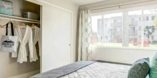 Rica Vista Gallery 10