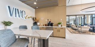 Vive Luxe Gallery 17