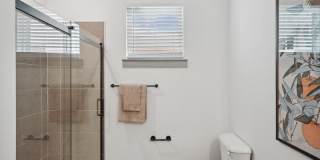 Bluebird on Seventy Gallery 11