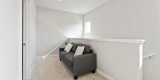 Mangold831 (KC-LN) Gallery 37