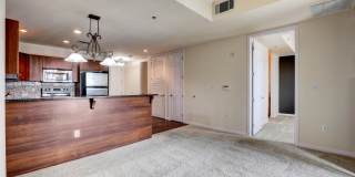 Boca Raton Gallery 87