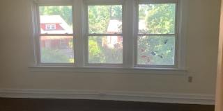 Treetop views in North Avondale Gallery 12