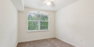 Lyme Stone Ranch Gallery 28