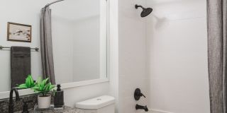 Alister Lake Lynn Gallery 10