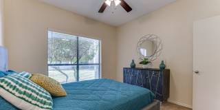 Wilson Crossing Gallery 11