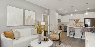 Ascend Angeline Gallery 44