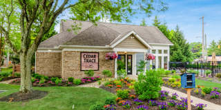 Cedar Trace Gallery 13