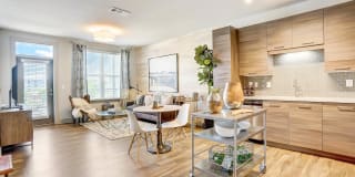 One 305 Central Gallery 1