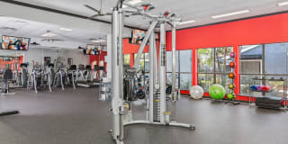 Northgreen at Carrollwood Gallery 38