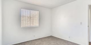24 Rose Circle Gallery 16