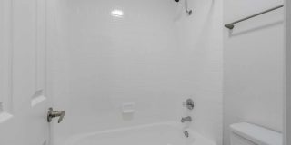 Renaissance Gallery 12