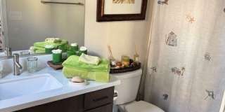 4140 Yucca Bloom Street Gallery 40