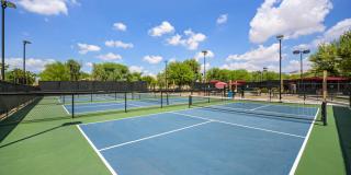 80586 Camino Santa Juliana Gallery 38