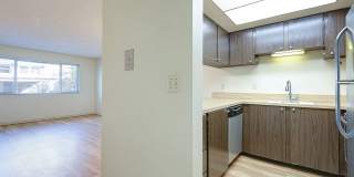 Stonebridge Gallery 80