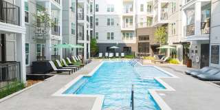 The Scottie Gallery 16