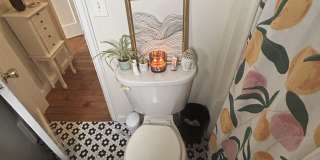 53 Cooper Avenue Gallery 12