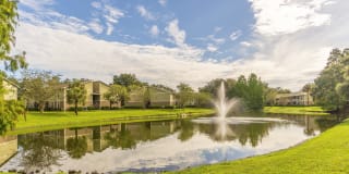 Laurel Oaks Gallery 25