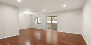 Jaclyn Terrace Gallery 14