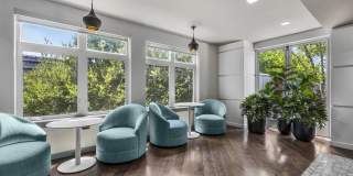 Deco Gallery 20