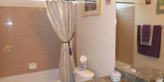 36716 S STONEY FLOWER Drive 36716 S STONEY FLOWER Drive Gallery 20