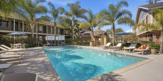 Point Bonita Gallery 1