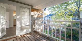 McIver Square Apartments Gallery 26