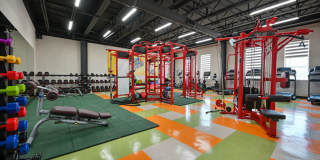 The Tree Apartments Gallery 65