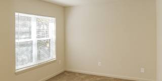 Geno Baroni Gallery 13