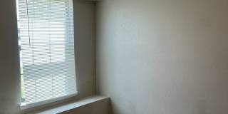 8113 Cinnamon Teal Dr Gallery 10
