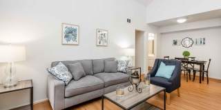 The Terrace Apartments Gallery 85