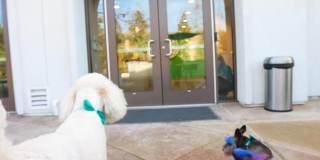 Torrey Gardens Gallery 25