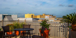 The Woodward Gallery 45