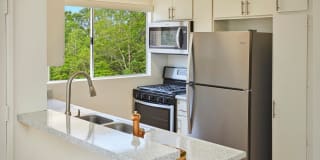 Park Sierra Gallery 74