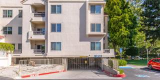Paloma Vista Apartment Homes Paloma Vista Apartment Homes Gallery 14
