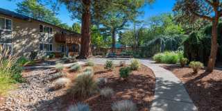 Park at Allen Gallery 26