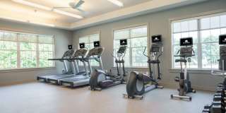 Berry Farms Gallery 17