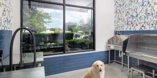 Avalon Lakeside Gallery 26