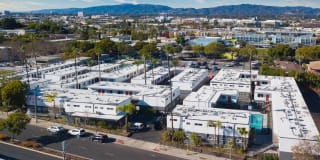 Santa Monica Palms Gallery 21