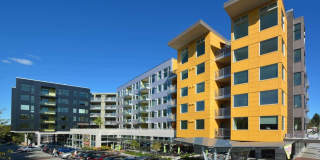 Angeline Gallery 25