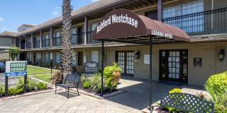Ashford Westchase Gallery 53